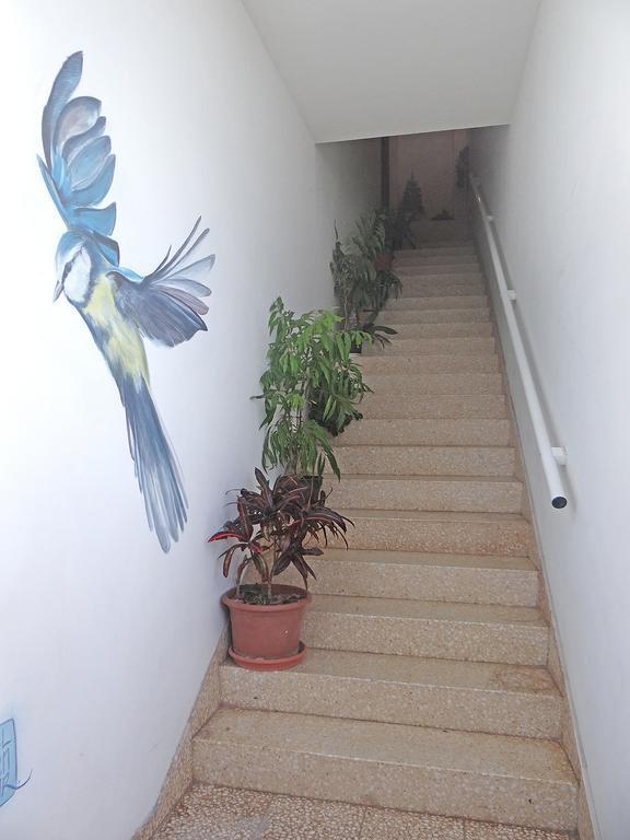 Apartamentos Dominguez Calera Esterno foto